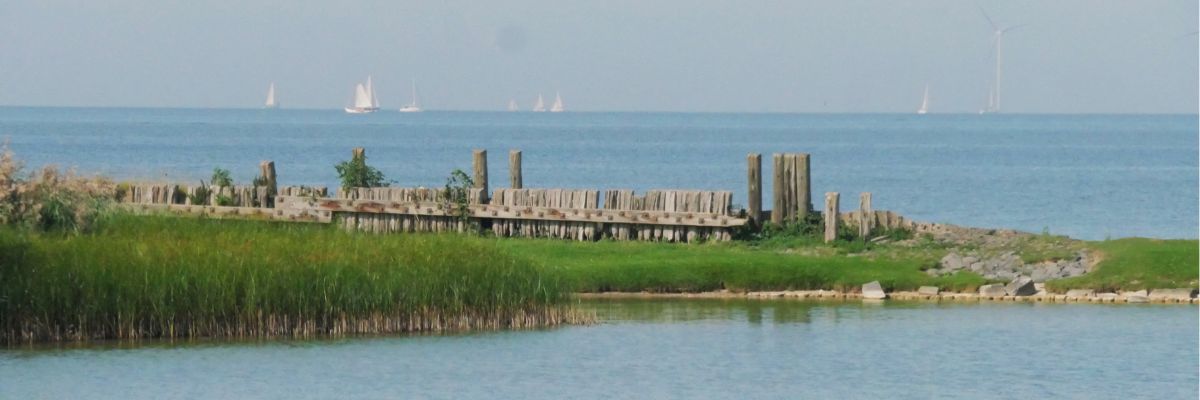 Slow living: met aandacht doen, bijvoorbeeld wandelen langs de zeedijk