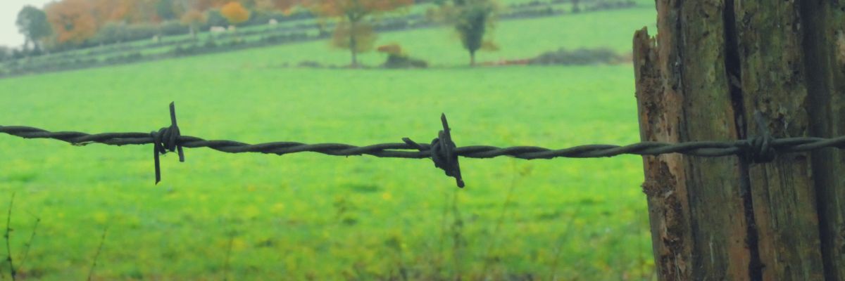 Schaarstemindset laat je denken in tekorten